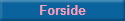 Forside